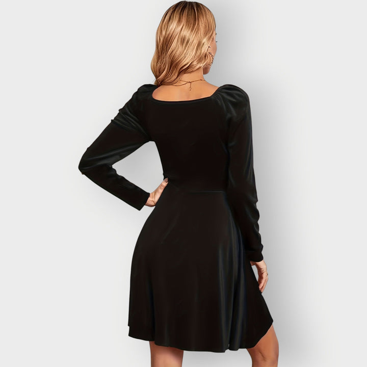 Elnyra | Velvet Skater Dress