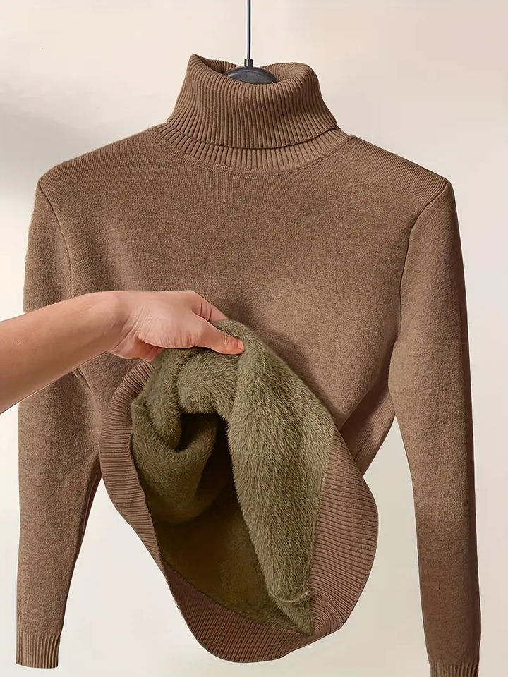 Delaney | Soft Luxe Turtleneck Sweater